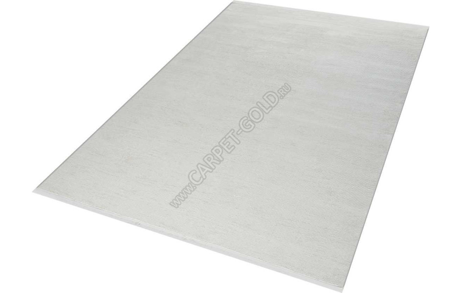 51935D STAN WHITE / WHITE Optima